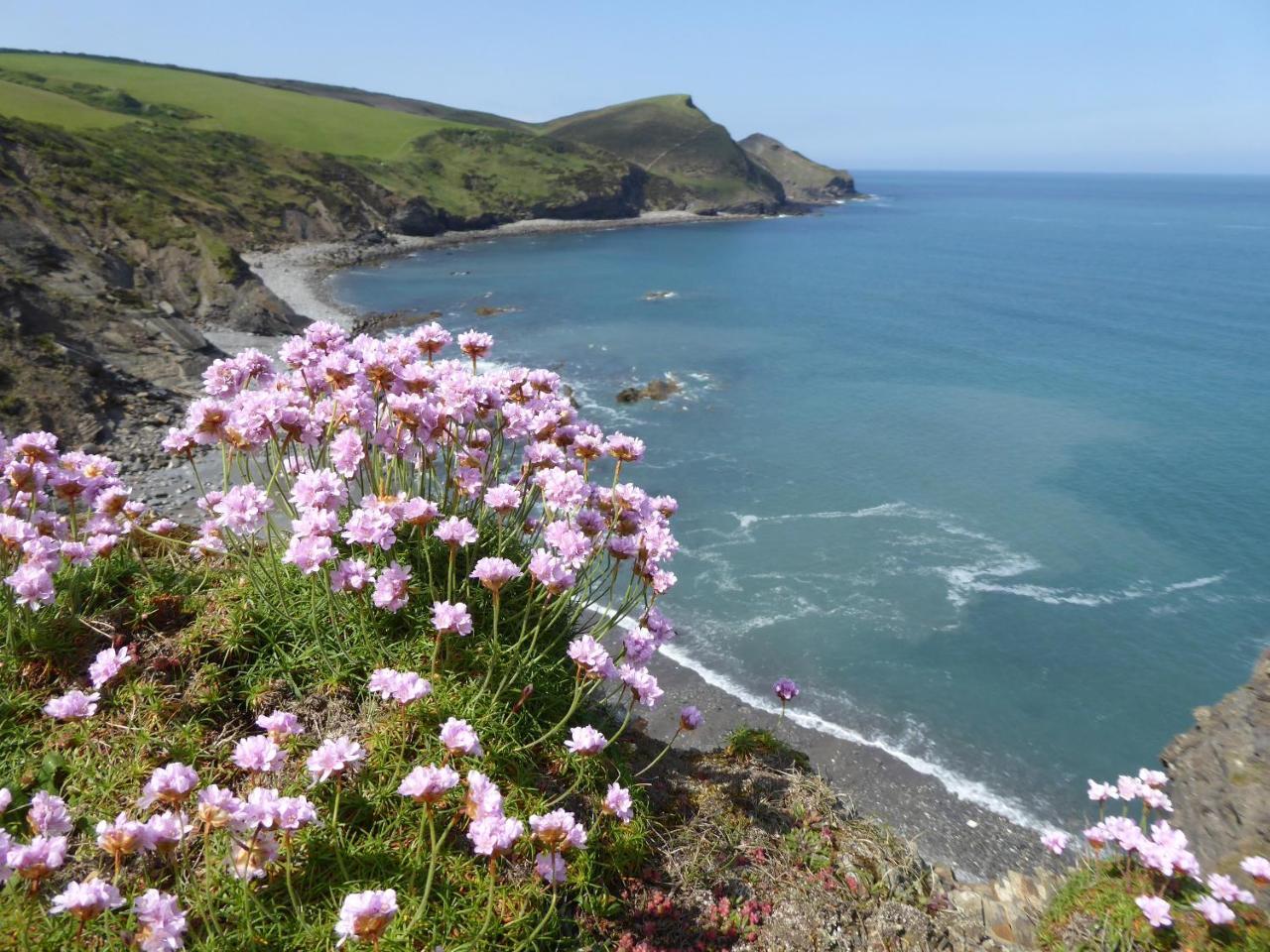 Lower Tresmorn Farmhouse Crackington Haven Exterior foto